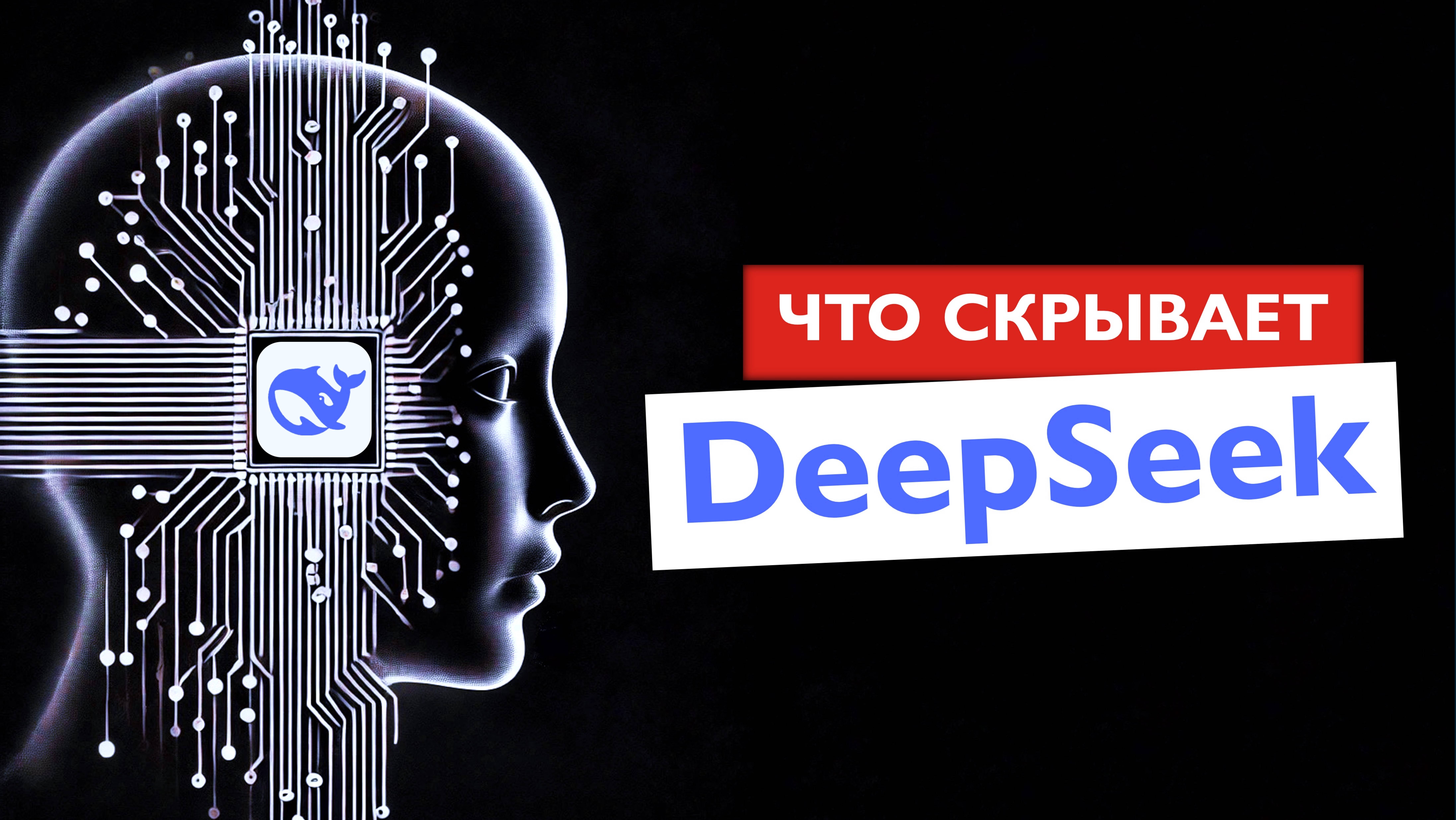 Что должен знать каждый? Можно ли использовать Deepseek?