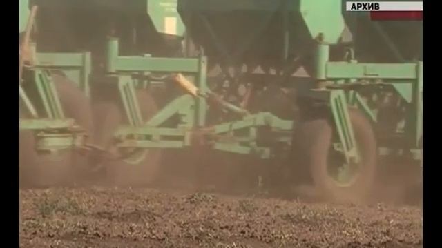 Аграрии выполнили план по севу озимых