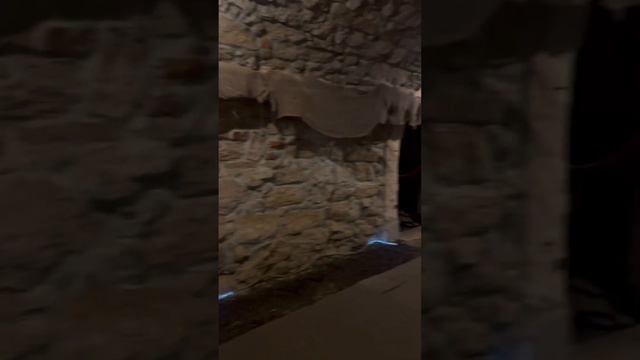 Львов🦁Доминиканский собор-подземелье💎Подземный Львов💎