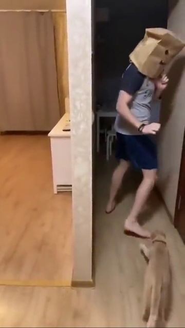 Хищник