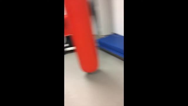 Budo Karate Fighting Fit Mannequin Challange