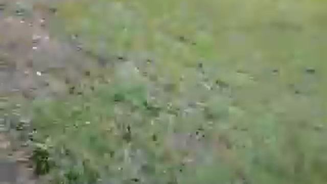 Здорово