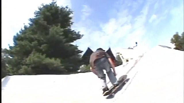 This is My Element - Bam Margera