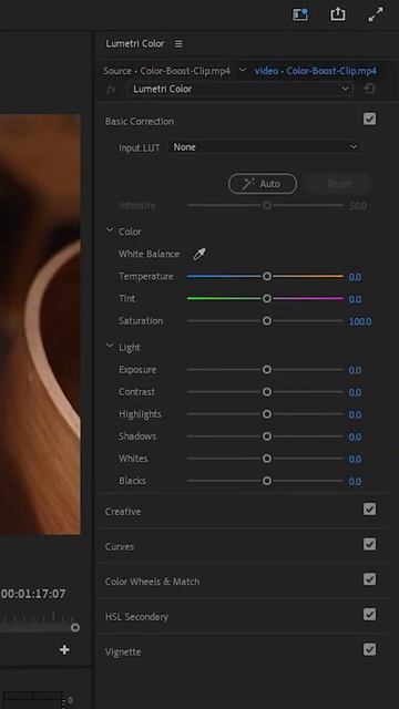 Corrección de color atuomátia en Premiere Pro 2022