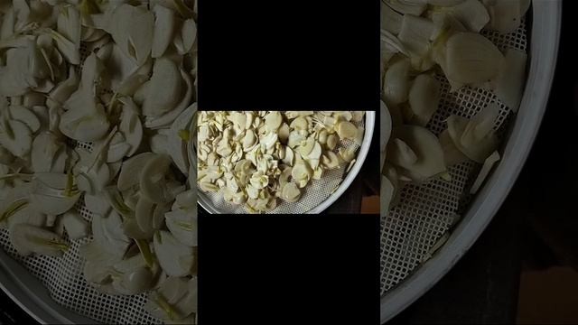 сушёный чеснок