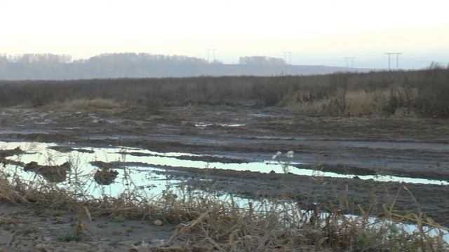 Хроники Солнечного Острова. Часть 3. 09.11.2013