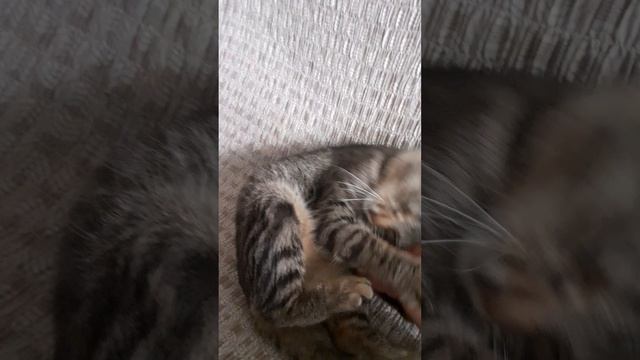 Шлема отдыхает!