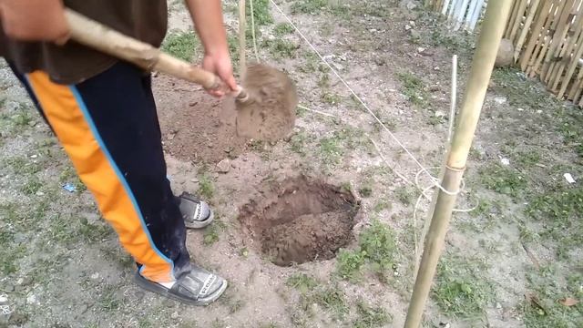 DIY Mini Garden Set using Cement