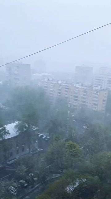 Ужас! Снег, метель, май! | Погода в Москве, май 2024
