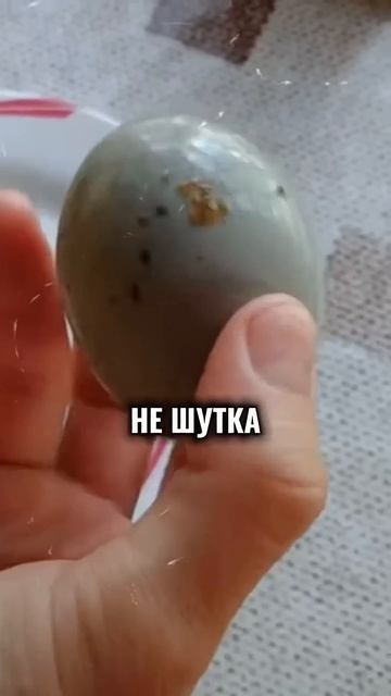 Самые противные блюда в разных странах мира 🤮