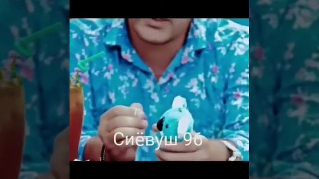 Дилам гиря накн аз бевафои