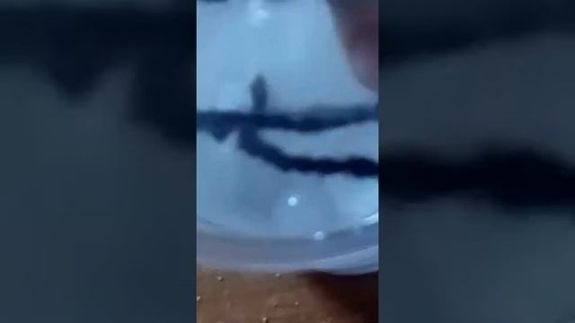 Как мы делаем кристал из соли