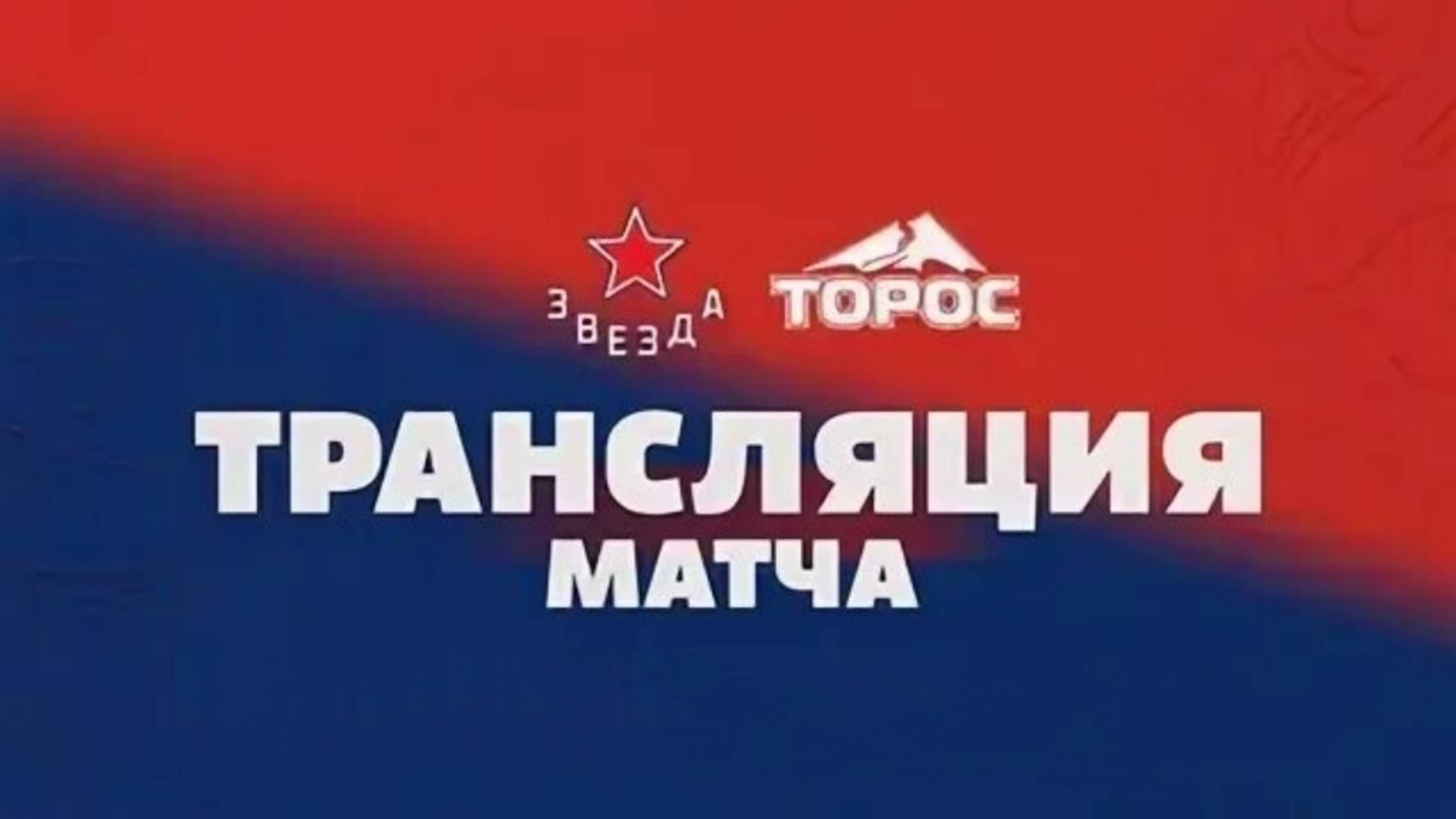 Хоккей ВХЛ ЗВЕЗДА – ТОРОС прямая трансляция смотреть онлайн