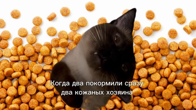 Любите кушать?