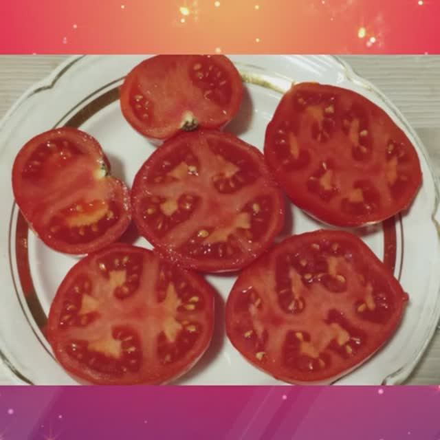 Томаты, устойчивые к фитофторе