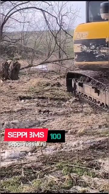 Работа экскаваторного мульчера SEPPI BMS