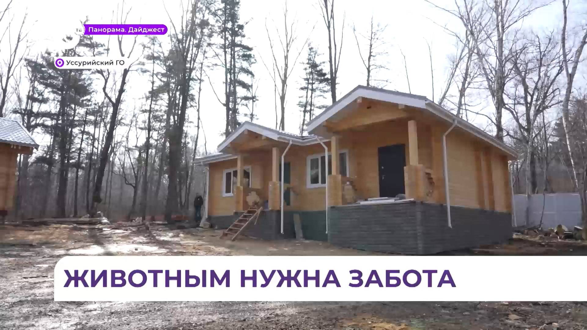 Специализированный реабилитационный центр помощи диким животным откроется в Приморье