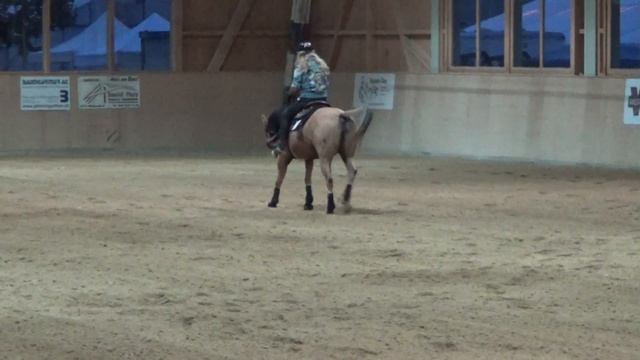 Megann Cee Bee Freestyle Reining 2015