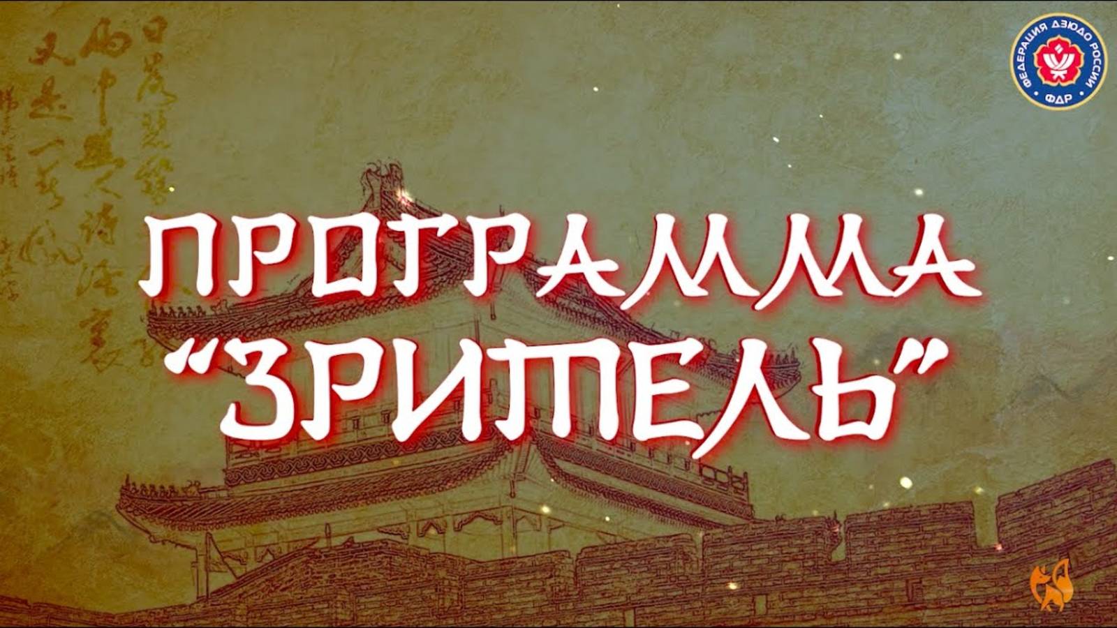 Программа "Зритель". Специально для Федерации дзюдо России