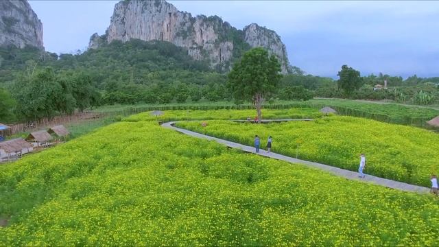 🇹🇭 SA KAEO - Amazing Nature of Thailand (UPDATED)