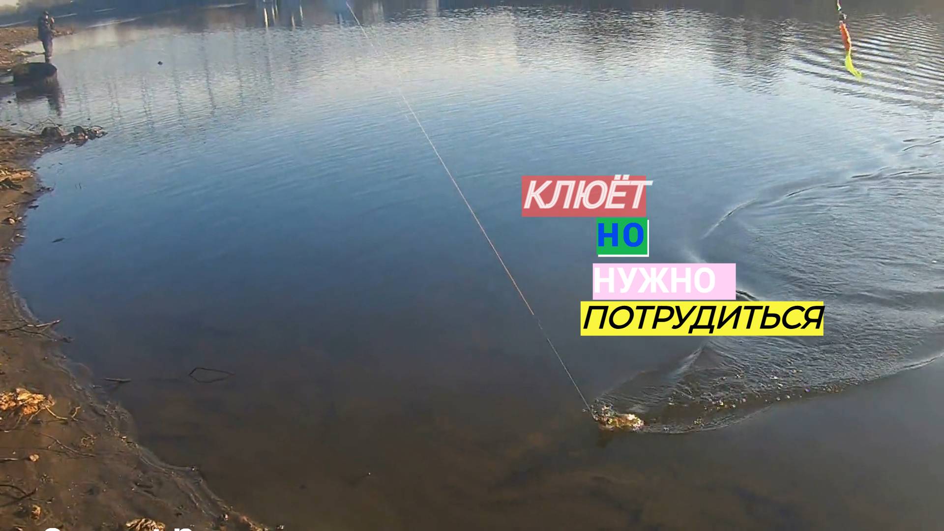 ПОТЕПЛЕЛО РЕШИЛИ ПРОГУЛЯТЬСЯ НА ХИЩНИКА