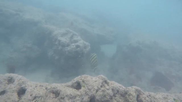 Hanauma Bay, Oahu, Hawaii, Snorkeling HD 2019