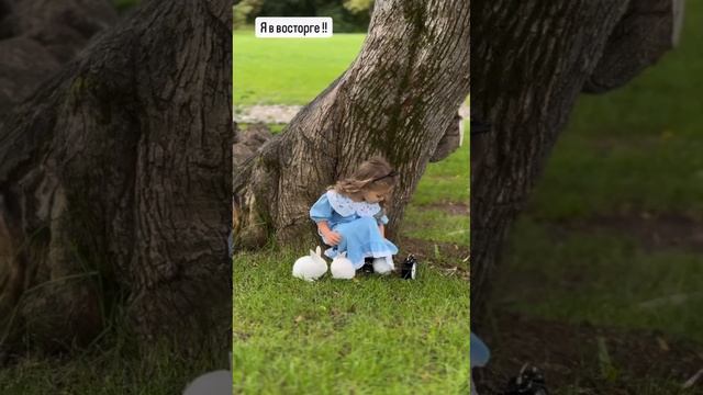 Самая сказочная фотосессия  "Алиса в стране чудес"