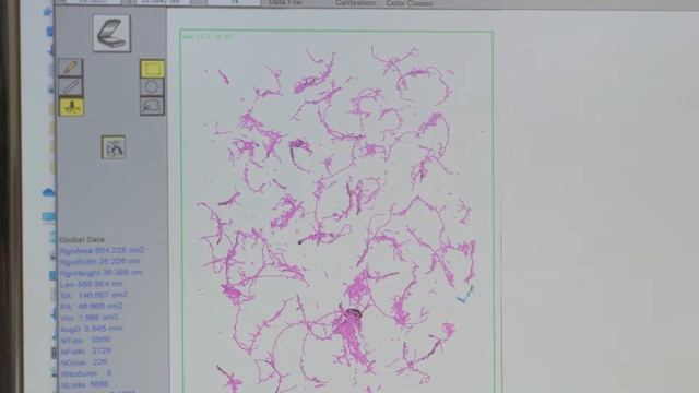 PhenoRob Core Project 3: The Soil-Root Zone