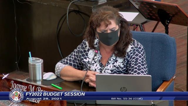 36th Guam Legislature FY2022 Budget Session - August 28, 2021 AM