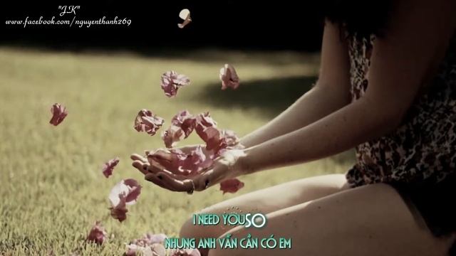 Cheri Cheri Lady   Modern Talking   Lyrics Kara + Vietsub HD