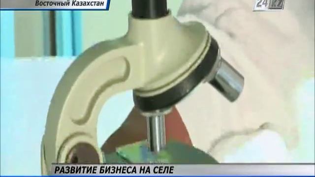 Выпускник сельхоз техникума увеличил поголовье скота в селе Калбатау с помощью «Занятости-2020»