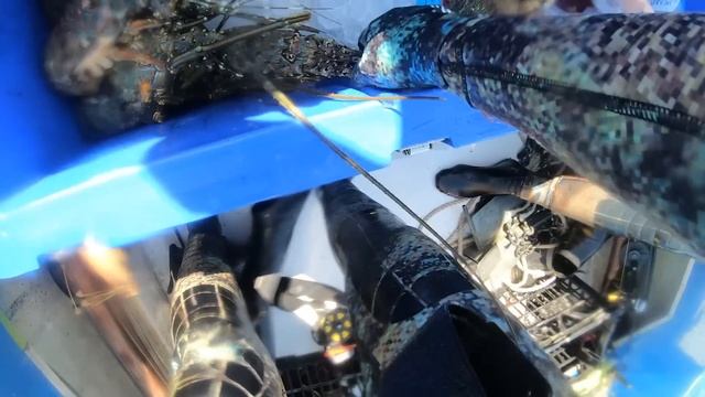 Mothership Spearfishing Missions - Wahoo, Kingfish & Crays on the BBQ Ep.16