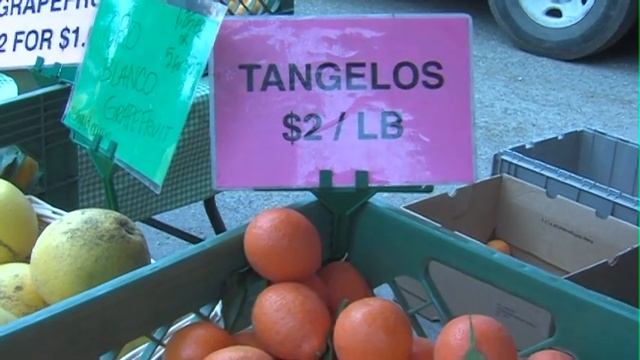 Farm Fresh: Citrus in season and a cocktail recipe!
