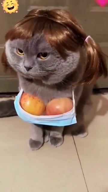 ХихиЧпок Юмор