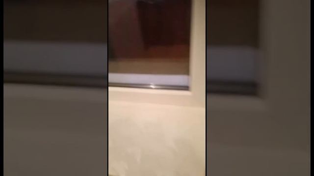 Объект № 121738 Сдам 1 комн. ул. Касимовская 10 Звоните, пишите watsap 8-965-666-64-44 Сергей