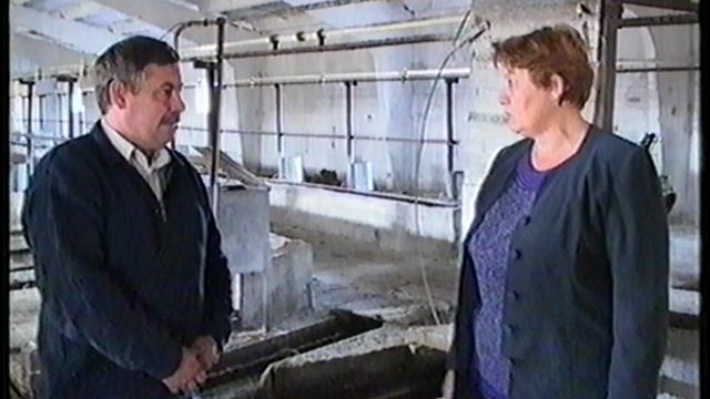 подготовка животноводства к зимовке  Котляровка 2003г