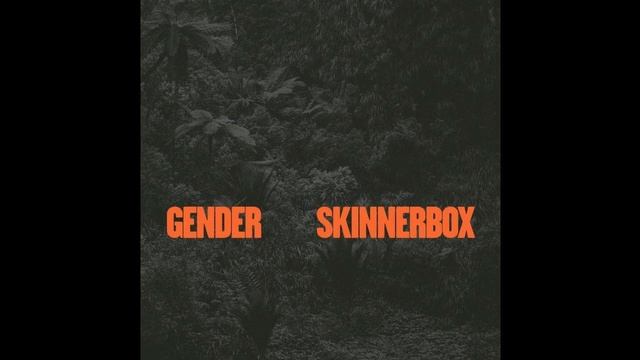 PREMIERE: Skinnerbox - Gender (Axel Boman Remix)[Turbo]