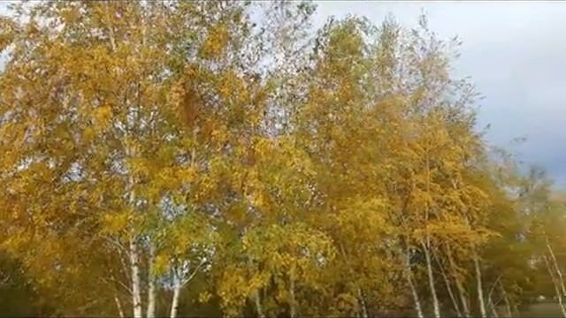 Всё бытие и сущее согласно (Александр Блок)