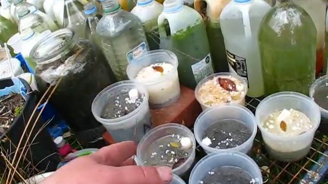 PERLITE-or-POLYSTYRENE???