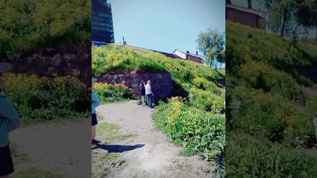 Vyborg✌❤😎 12.06.2023 #выборг_замковый_остров #выборг2023