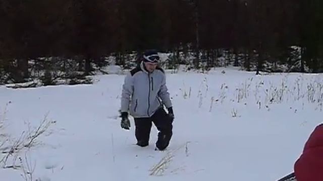 Поиск брусники