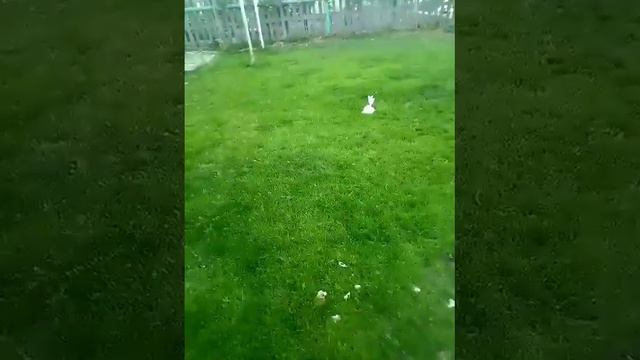 Кидаем пакеты наполненные водой