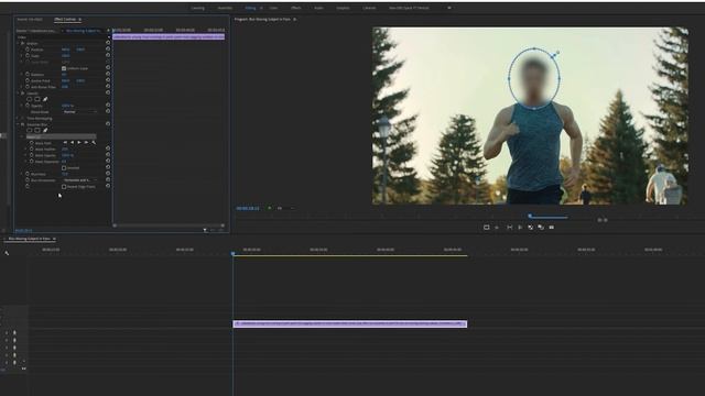 How to Blur Moving Faces or Objects In Premiere Pro