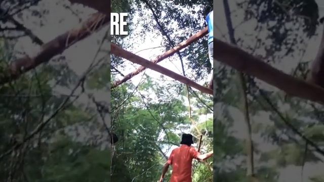 How to build Tree house nature beauty