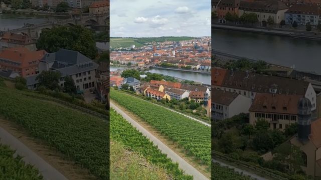 Мариенберг.