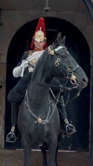 HORSE REACTS TO SUDDEN NOISE ⚠️🐎🥁| Horse Guards, Royal guard, Kings Guard, Horse, London, 2024