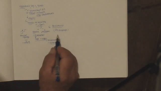 ММПК ОСА МТШ Хаотизация норм Революция и ее проявления Конституция и ее роль Заказ на воспитание