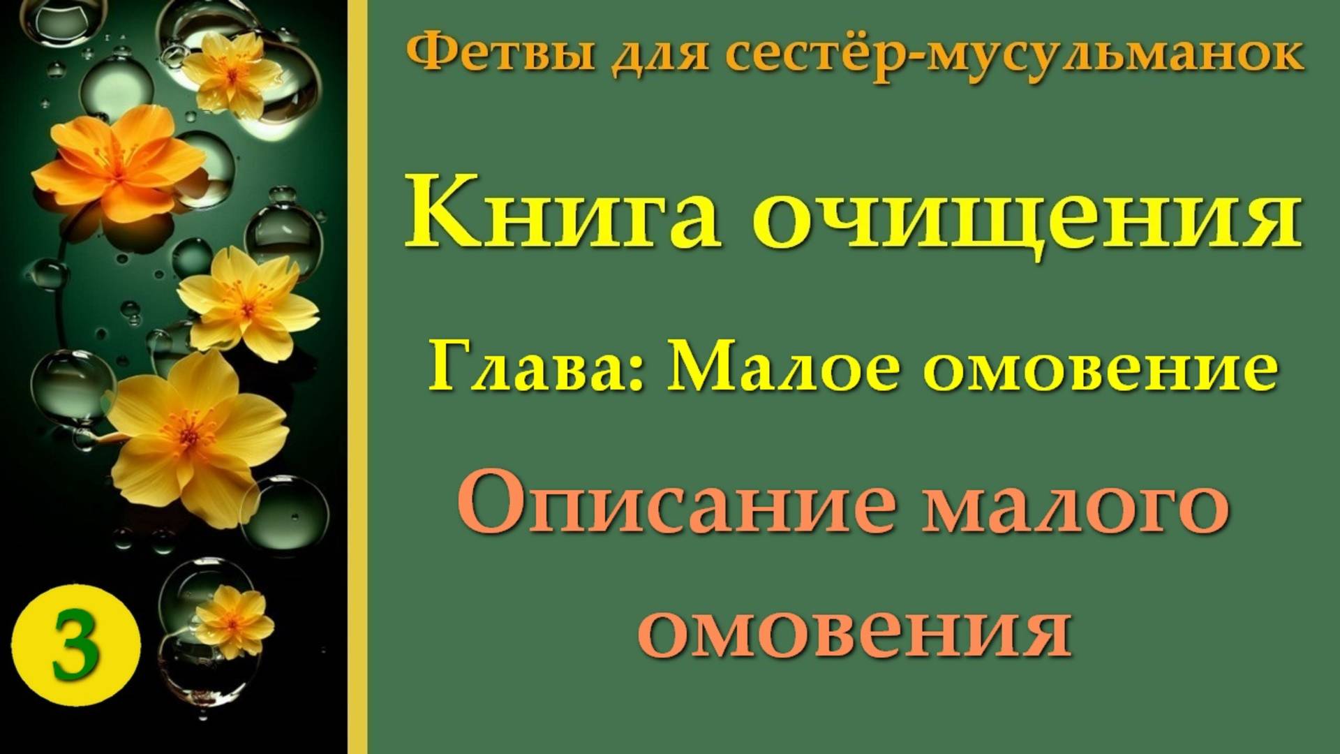 3. Книга Очищения (Описание малого омовения)