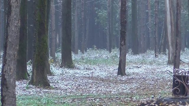 Прокопьевск. Первый снег