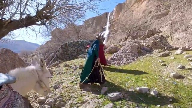 Чудесный день из жизни Тайебы и ее детей с отцом Гадиром и бабушкой с дедушкой.